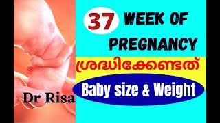 37 Week Of Pregnancy Malayalam | Pregnancy Week By Week Malayalam