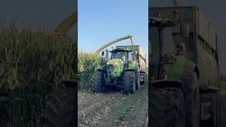 8280TTV️ #deus #vaia #krone #mais #corn #silage