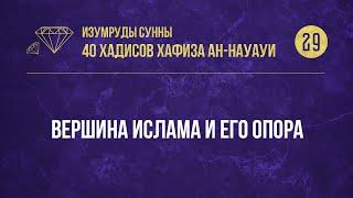 29 Хадис — «Вершина ислама и его опора»— 40 хадисов ан-Науауи—Абу Ислам аш-Шаркаси