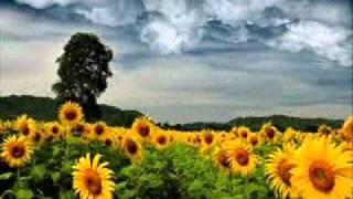 Nicolas Jaar - Sunflower