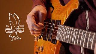 The Private Stock Special Semi-Hollow Limited Edition | PRS Guitars
