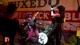 Underground sound: Detroit's punk rock history at the All-Star Garage Rock Punk Revue | Clip