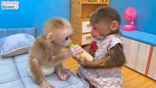 BiBi helps dad cook breakfast for baby monkey OBi