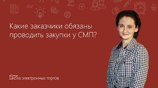 Какие заказчики обязаны проводить закупки у СМП по 223-ФЗ?