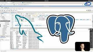 SQL for Data Analysis | شاهد كيف أصبح الفيل والدرفيل أصدقاء