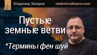 Пустые земные ветви. 99 терминов фен шуй. Владимир Захаров - эксперт фэншуй, бацзы для бизнеса