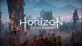 Horizon Zero Dawn- If Aloy enters God Mode