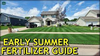 It's Time For FERTILIZER....I Think?? // Early Summer Fertilizer Guide