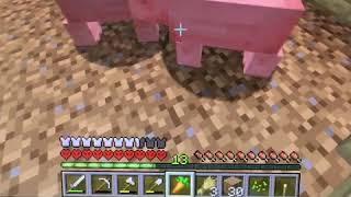 VidEo GaMes CaUsE VioLeNCe  Minecraft  Top Clip by flipmyk