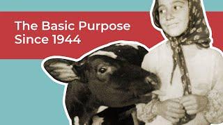 The Basic Purpose of Heifer International