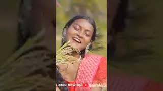 KAYRA NALA AKAR BAHA#new# santhali#short#video_2024