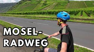 Radtour entlang der Mosel | Klotten nach Bernkastell-Kues | Natur in NRW | 2024 | Jörg Müller