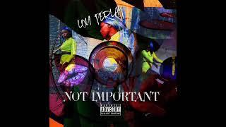 Not Important-Lou Perlay