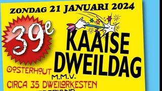 carnaval 2024 kaaise dweildag oosterhout #festivaltvholland