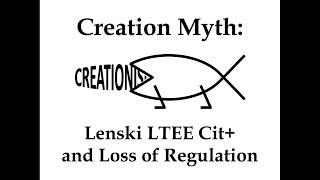 Creation Myth: Lenski LTEE Cit+ and Loss of Regulation