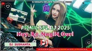 Hay_Re_Nagin_Guri_-_DJ Mix___Hot_Dance_Mix_Bin_Bala_Re_Dj_Song___Hay_Re_Nagin_Guri_2025_Sushanta Exc