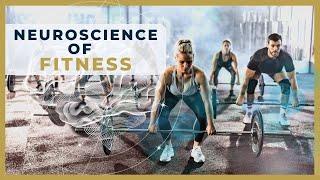 The Neuroscience of Fitness: How Exercise Improves Your Brain & Motivation | Beyond Sapiens