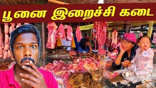 பெண்ணின் பூனை இறைச்சி கடை‍⬛️ | Madagascar Cat Market | Jaffna Suthan