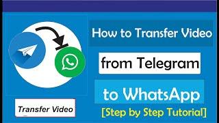 How to Transfer Video from Telegram to WhatsApp