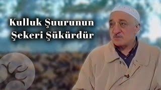 Kulluk Şuurunun Şekeri Şükürdür | Bir Hasbihal | M. Fethullah Gülen