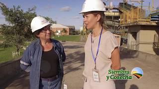 SIEMBRA Y COSECHA TV: Ingenio sucroalcoholero Aguaí