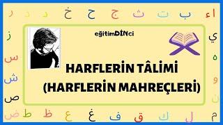 Kur'an-ı Kerim Harf Tâlimi | Harflerin Mahreçleri | Harflerin Çıkış Yerleri