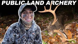 PA Deer Hunting * SUCCESS * Public Land Saddle Hunt