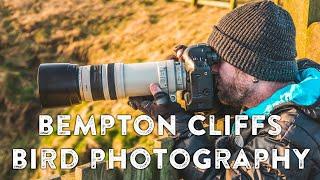 Bird Photography at Bempton Cliffs - Canon 1D Mark 3 + 100-400mm L