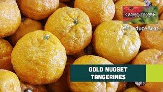 Gold Nugget Tangerines | Gold Nugget Tangerines