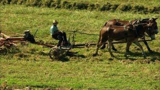 Pennsylvania's Amish Country