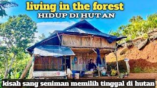 LIVING IN THE FOREST..kisah sang seniman memilih hidup di hutan...