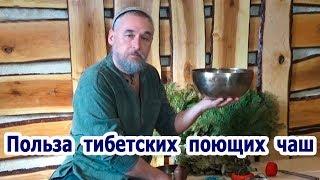 Олег Шевченко "О пользе поющих тибетских чаш"