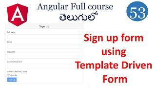 sign up form with template driven form|Angular forms|template driven forms | Angular  tutorials