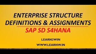 Enterprise Structure SAP SD | organizational structure sap sd s4hana | org structure sap sd s4hana