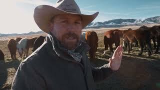 3 Ways to Become a Rancher ( 2 are EASY! )