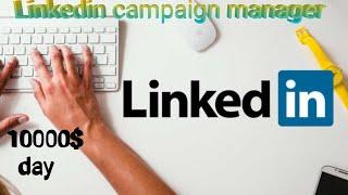 Linkedin campaign manager || 10000$ day ads campaign #linkedin