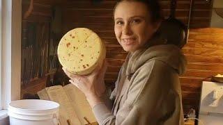 How To Make Pepper Jack Cheese  || Raw Milk Cheese Tutorial