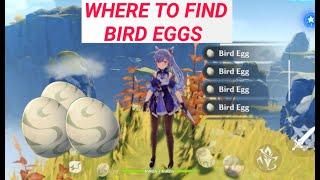 Where to Find Bird Eggs in Genshin Impact| Bird Eggs Genshin Impact