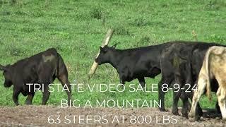 TRI STATE VIDEO SALE 8-9-24 AT 1PM