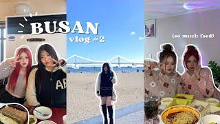 BUSAN VLOG : korean street food market, valentines day in busan! 