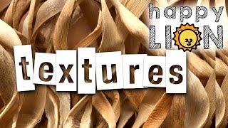Learn Textures for Kids