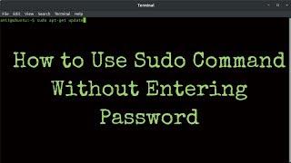 How to Use Sudo Command Without Entering Password In Ubuntu