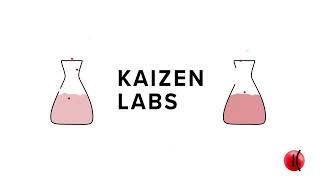 Kaizen Labs: one-stop shop for every tech needs crypto project may have