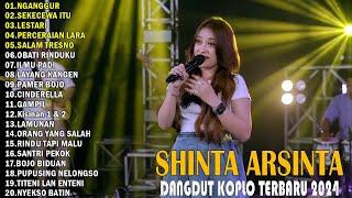 SHINTA ARSINTA FULL ALBUM - NGANGGUR, SEKECEWA ITU,LESTARI  - DANGDUT KOPLO TERBARU 2024