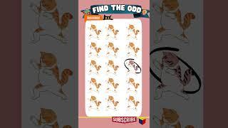 Find out the weird emojis 228 cute animal