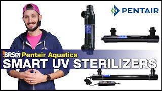 Pentair Aquatics UV Sterilizer: The UV Sterilizer for Reef Tanks the Pros Choose! A Tool Not a Toy.