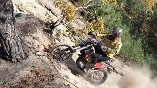 ENDURO REX