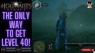 Hogwarts Legacy The ONLY way to get Level 40! ~XP FULLY EXPLAINED, DO YOUR CHALLENGES!~