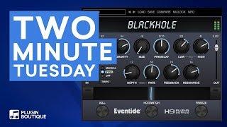 TMT | Spring Reverb Effect with Blackhole by Eventide