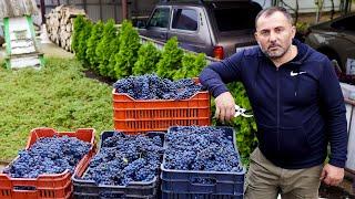 Homemade Wine from homemade Grapes | Food and Drinks by GEORGY KAVKAZ